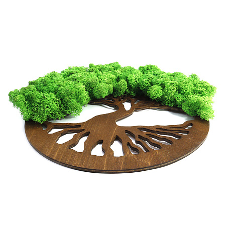 Декоративное Дерево счастья топиарий из мха стабилизированного, ручная работа