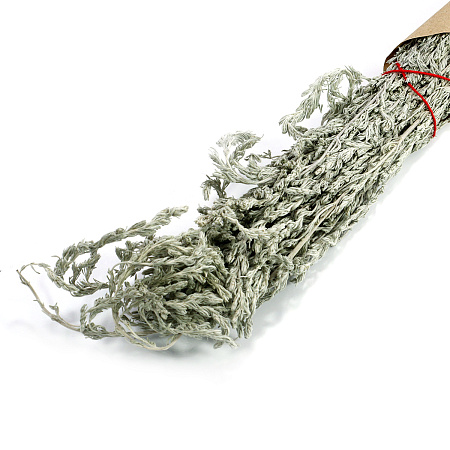 Трава для окуривания Полынь степная 20гр