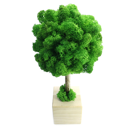 Декоративное Дерево счастья топиарий счастья из мха стабилизированного, ручная работа