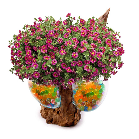 Ваза на корне стекло украшение интерьера Хрупкое 20см-26см