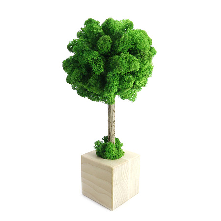 Декоративное Дерево счастья топиарий счастья из мха стабилизированного, ручная работа