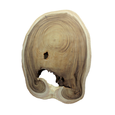 Слэб для декора интерьера из ценных пород дерева Суар 115см-80см-7см 22,2кг