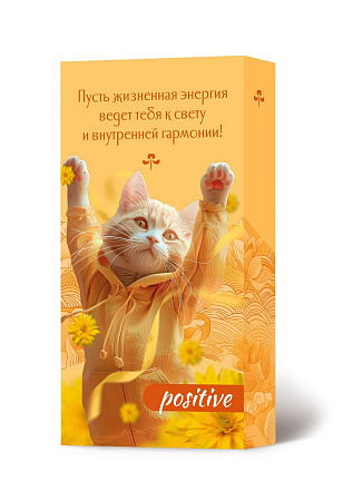 Набор POSITIVE благовония HEM с подставкой S24-PO