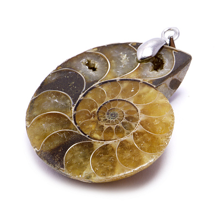 Кольцо Ракушка