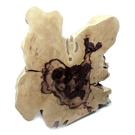 Слэб для декора интерьера из ценных пород дерева Суар 70см-60см-8см 20.6кг